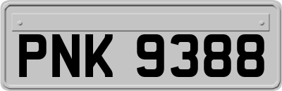 PNK9388