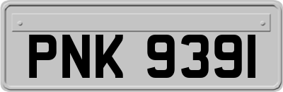 PNK9391