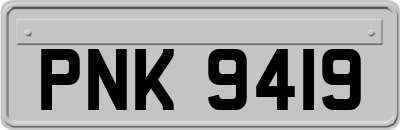 PNK9419