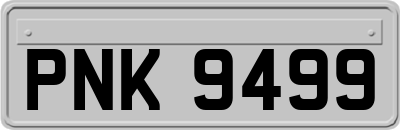 PNK9499