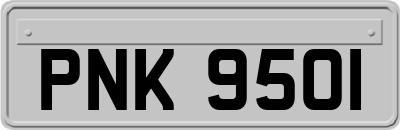 PNK9501