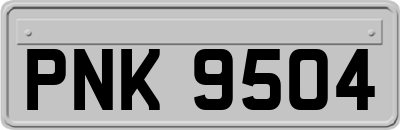 PNK9504