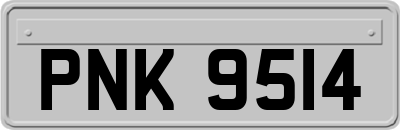 PNK9514
