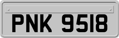 PNK9518