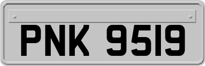 PNK9519