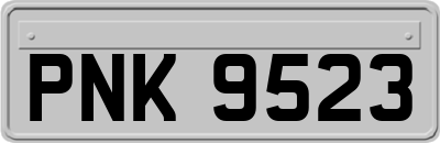 PNK9523
