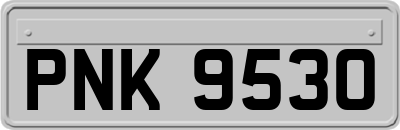 PNK9530