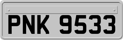 PNK9533