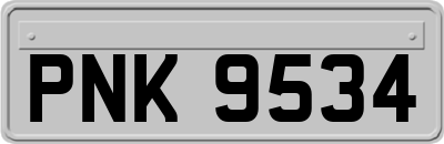 PNK9534