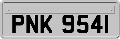 PNK9541