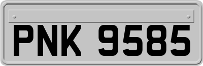PNK9585