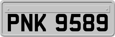 PNK9589
