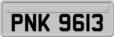 PNK9613