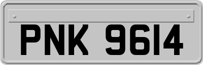 PNK9614