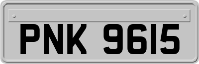 PNK9615