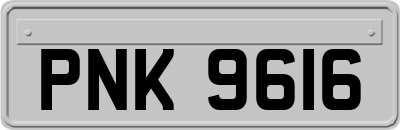 PNK9616