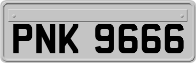PNK9666