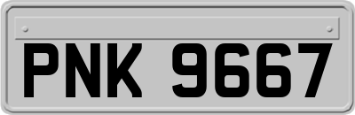 PNK9667