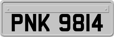 PNK9814