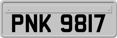 PNK9817