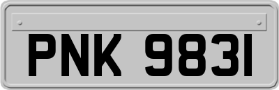 PNK9831