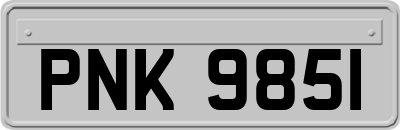PNK9851