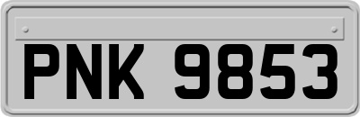 PNK9853