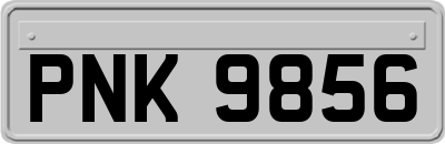 PNK9856