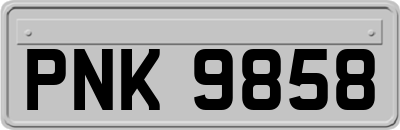 PNK9858