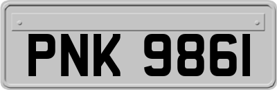 PNK9861
