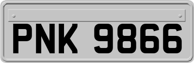 PNK9866