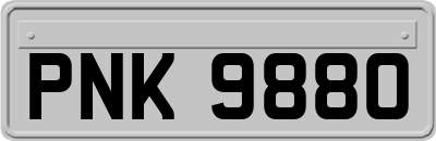 PNK9880