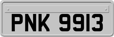 PNK9913