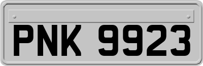 PNK9923