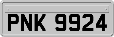 PNK9924