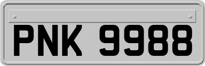 PNK9988