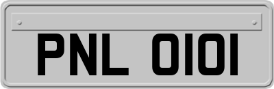 PNL0101
