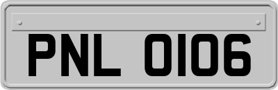 PNL0106