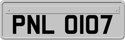PNL0107