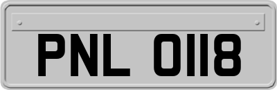 PNL0118