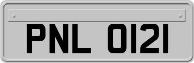PNL0121