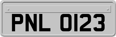 PNL0123