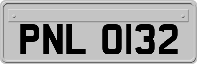 PNL0132