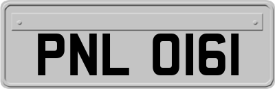 PNL0161