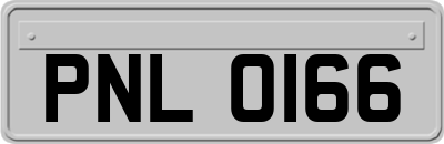 PNL0166