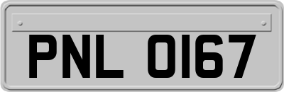 PNL0167