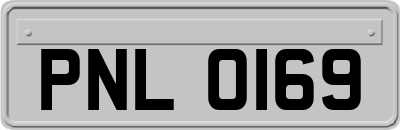 PNL0169
