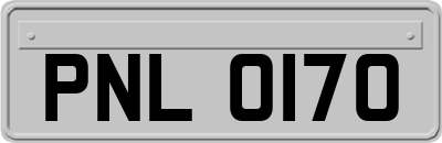 PNL0170