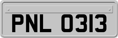 PNL0313