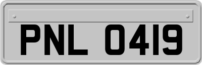 PNL0419